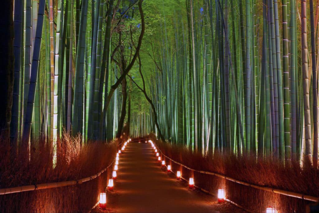 Arashiyama Bamboo, Kyoto