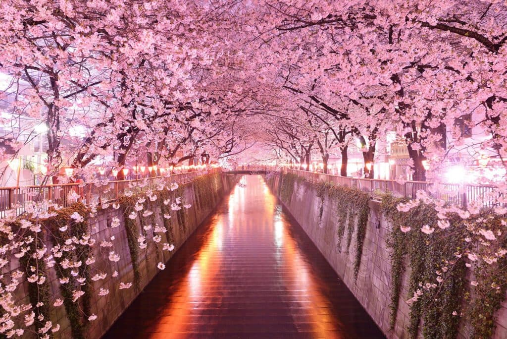 Top Photo Spots in Japan