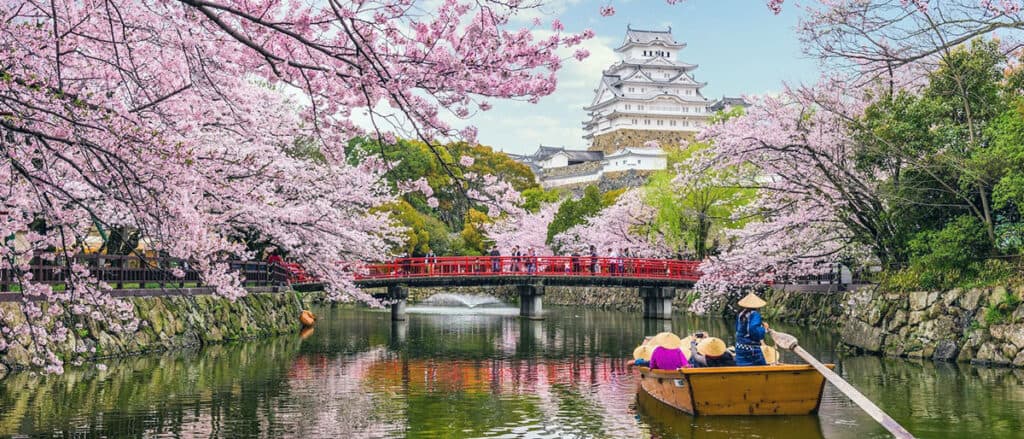Cherry Blossoms at Chidorigafuchi